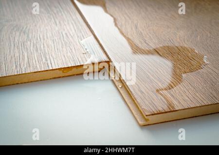 Laminato e acqua. Laminato impermeabile. I pavimenti in legno sono impermeabili all'umidità. I rivestimenti per pavimenti proteggono dall'acqua. Una pozzanghera sul pavimento. Foto Stock