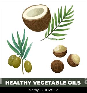 Olive, cocco e noci di macadamia isolate su sfondo bianco. Fonti di oli vegetali sani. Illustrazione vettoriale. Illustrazione Vettoriale
