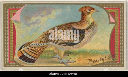 Pheasant, dalla serie Game Birds (N13) per Allen & Ginter Cigarettes Brands 1889 rilasciato da Allen & Ginter American Trade cards dalla serie 'Game Birds' (N13), rilasciato nel 1889 in un set di 50 carte per promuovere sigarette a marchio Allen & Ginter. Pheasant, della serie Game Birds (N13) per Allen & Ginter Cigarettes Brands 407958 Foto Stock