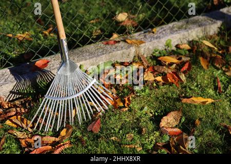 rastrello di foglie al sole di sera sulla recinzione Foto Stock
