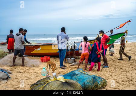 Un gruppo di persone sconosciute che acquistano pesce fresco da un venditore di strada sulla spiaggia di Edward Elliot. Foto Stock