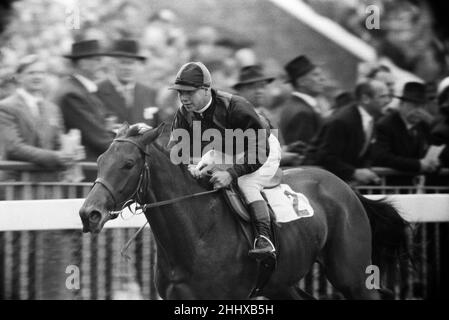 Corse di cavalli a Windsor. Gare Royal Windsor, meeting di luglio. 4th luglio 1955. Foto Stock