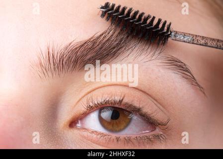 Sopracciglia donne. Bella ragazza con spazzola per sopracciglia. Ragazza  con naturale make up. Correzione sopracciglia. Macro primo piano delle  ciglia Foto stock - Alamy