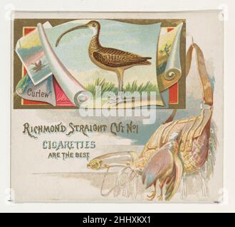 Curlew, della serie Game Birds (N40) per sigarette Allen & Ginter 1888–90 emessa da Allen & Ginter American Trade cards della serie 'Game Birds' (N40), pubblicata nel 1888-90 in un set di 50 carte per promuovere sigarette a marchio Allen & Ginter. La serie N40 riproduce le carte del N13 in dimensioni maggiori. Curlew, dalla serie Game Birds (N40) per sigarette Allen & Ginter 421734 Foto Stock