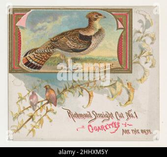 Pheasant, della serie Game Birds (N40) per sigarette Allen & Ginter 1888–90 rilasciato da Allen & Ginter American Trade cards della serie 'Game Birds' (N40), rilasciato nel 1888-90 in un set di 50 carte per promuovere sigarette a marchio Allen & Ginter. La serie N40 riproduce le carte del N13 in dimensioni maggiori. Pheasant, della serie Game Birds (N40) per Allen & Ginter sigarette 421769 Foto Stock