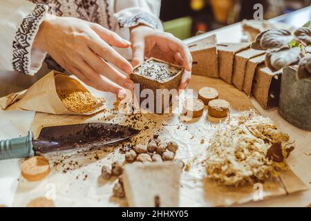 processo di stratificazione dei semi piantando su strato di neve sulla parte superiore del terreno. le mani del giardiniere in camicia ricamata etnica piantano semi in ecologi di torba Foto Stock