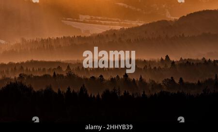 Foresta di montagna all'alba. Silhouette degli alberi e delle montagne in una controluce. Monti Bieszczady, Polonia. Foto Stock