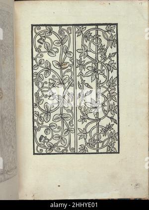 Libro quarto. De rechami per elquale se impara in diuersi Modelordine e il modo di recamare...Opera nua, page 17 (recto) ca. 1532 Alessandro Paganino italiano pubblicato da Alessandro Paganini, italiano, attivo 16th secolo.Ricamo design composto da 2 colonne verticali. La colonna di sinistra è decorata con viti ricurva con foglie di forma ovale. La colonna di destra è decorata con viti ricurvi con foglie a 5 lati. Libro quarto. De rechami per elquale se impara in diuersi Modelordine e il modo di recamare...Opera nua, pag. 17 (recto) 659847 Foto Stock