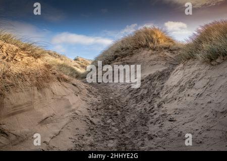 Gravi danni cotti dall'attività umana al fragile sistema di dune di sabbia a Crantock Beach a Newquay in Cornovaglia. Foto Stock