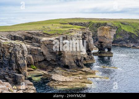 Yesnaby Castello mare stack guardando a sud sulla costa Yesnaby sulla costa occidentale di Mainland Orkney in Scozia Foto Stock