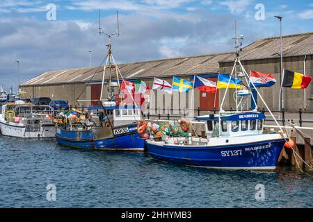 Barche da pesca legate sulla banchina del porto di Kirkwall a Kirkwall a Orkney, Scozia Foto Stock