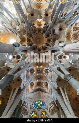 Soffitto colorato dell'interno della Sagrada Familia. Chiesa della Sacra Famiglia, cattedrale progettata da Gaudí a Barcellona, Spagna, Europa Foto Stock