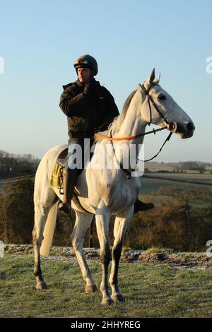 Bristol de mai sulle galoppe a Naunton, Gloucestershire Foto Stock