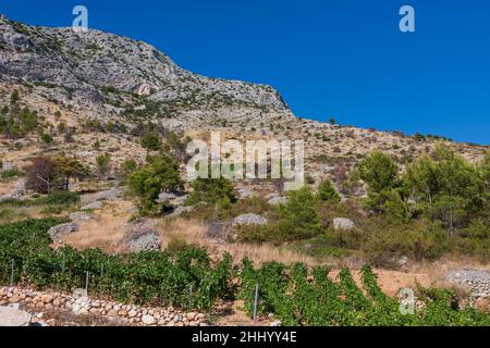 Vista panoramica dalle montagne sopra Ivan Dolac sull'isola di Hvar in Croazia. Foto Stock