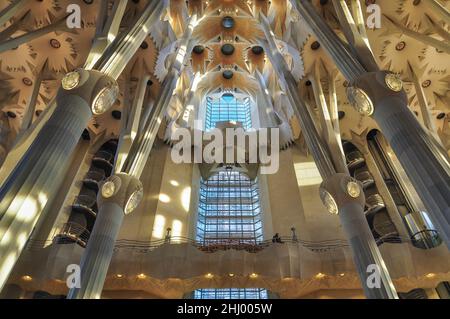 Navate all'interno della basilica della Sagrada Familia poco dopo che i lavori di costruzione furono completati nel 2010 (Barcellona, Catalogna, Spagna) ESP: Interior del templo Foto Stock