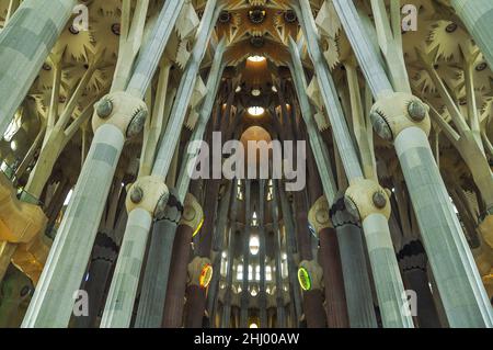 Navate all'interno della basilica della Sagrada Familia poco dopo che i lavori di costruzione furono completati nel 2010 (Barcellona, Catalogna, Spagna) ESP: Interior del templo Foto Stock