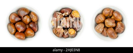 Castagne sgusciate, arrostite e bollite in ciotole bianche. Castagne dolci europee, Castanea sativa può essere mangiato crudo, candito, cotto, macinato o arrostito Foto Stock