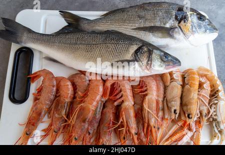 Orata, spigola, gamberi e scampi in un mercato locale in Croazia Foto Stock