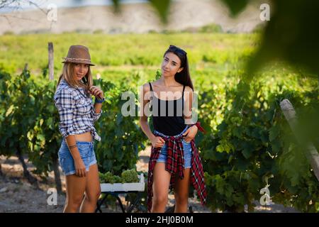 Due simpatici amici in un campo vigna. Ragazze felici che posano. Concetto di turismo rurale.. Foto Stock