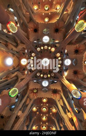 Vista zenithal dell'attraversamento delle navate all'interno della basilica della Sagrada Familia, con le ramificazioni delle colonne che assomigliano ad una foresta (Barcellona) Foto Stock