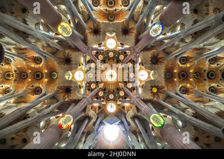 Vista zenithal dell'attraversamento delle navate all'interno della basilica della Sagrada Familia, con le ramificazioni delle colonne che assomigliano ad una foresta (Barcellona) Foto Stock