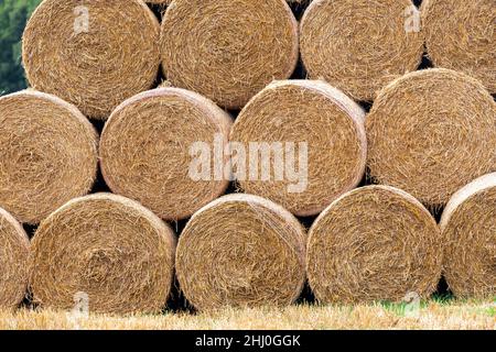 Pila di balle rotonde grandi di paglia. North Yorkshire, Regno Unito. Foto Stock