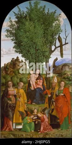 Madonna col Bambino con Santi ca. 1520 Girolamo dai Libri Italiano i santi (da sinistra a destra) sono Caterina d'Alessandria, Leonard, Agostino e Apollonia. Dipinta nel 1520 circa per la chiesa agostiniana di San Leonardo nel Monte fuori Verona, la foto fu lungamente descritta dal cinquecentesco biografo Giorgio Vasari, che ammirava soprattutto il paesaggio e l'enorme albero di alloro. Mentre la Madonna col Bambino riflette l'opera di Andrea Mantegna, la lontana collina coronata da una fortezza e l'albero morto sono prese direttamente dalla nota incisione di Dürer di Sant'Eustace. Th Foto Stock