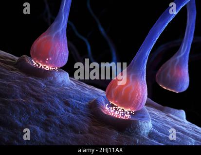 Le cellule sinapsi e neuronali inviano segnali chimici elettrici . 3D illustrazione Foto Stock