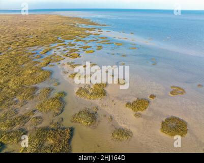 Vista aerea di Saline Marshes, piante e strutture di sabbia in Normandia, Calvados, Manica, Francia, Europa Foto Stock