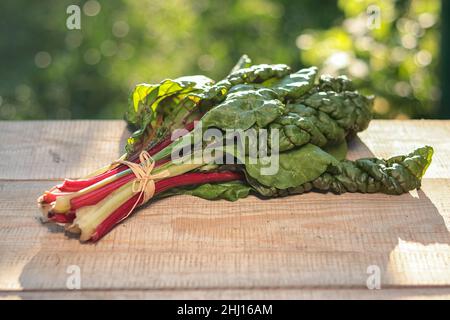 Chard Vegetable - un mazzo di foglie con steli rossi e verdi Foto Stock