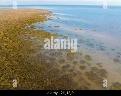 Vista aerea di Saline Marshes, piante e strutture di sabbia in Normandia, Calvados, Manica, Francia, Europa Foto Stock