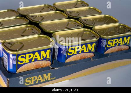 Barattoli di Spam Luncheon Meat, USA Foto Stock