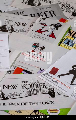 Still Life con il carattere simbolico 'Eustace Tilly' del 'The New Yorker Magazine', New York City, USA Foto Stock