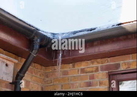 Valle di tetto rivestito di neve e fusione di acqua ghiacciata produrre grondaie ostruite e ghiacciate downpipe con le ghiacciole che si formano su grondaia gocciolare ghiaccio acqua fredda Foto Stock