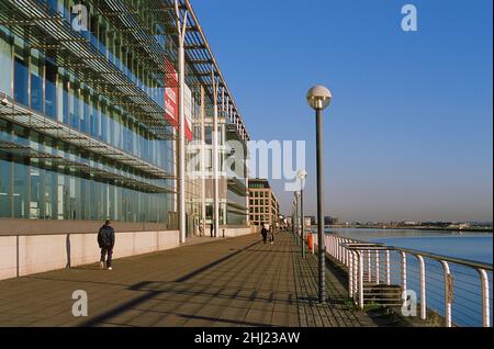 Borough of Newham uffici edifici lungo Royal Albert Quay a Royal Albert Dock, London Docklands UK, guardando a est. Foto Stock