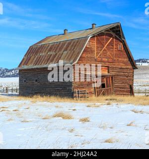 vecchio fienile in inverno vicino a jens, montana Foto Stock