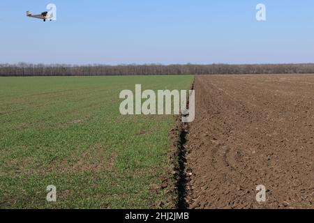 Un piccolo aereo vola su un campo agricolo. Aviazione agricola. Foto Stock