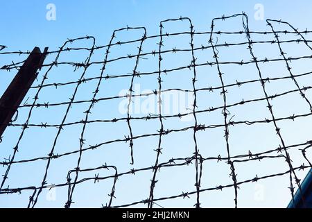 Filo spinato contro il cielo blu . Simbolo di soppressione della libertà Foto Stock