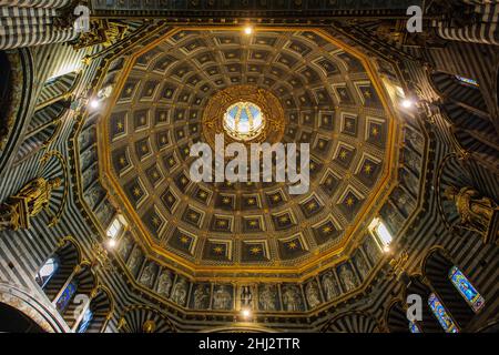 Veduta interna della cupola di Siena Duomo di Santa Maria Assunta in stile architettonico romanico-gotico, Duomo di Siena, Siena, Toscana, Italia Foto Stock