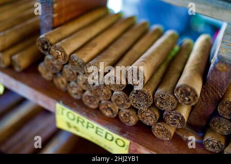 I sigari cubani arrotolati a mano per la vendita in un mercato aperto nella città vecchia di Key West, Florida. Primo piano dei sigari Torpedo con l'estremità aperta che mostra il tabacco. Foto Stock