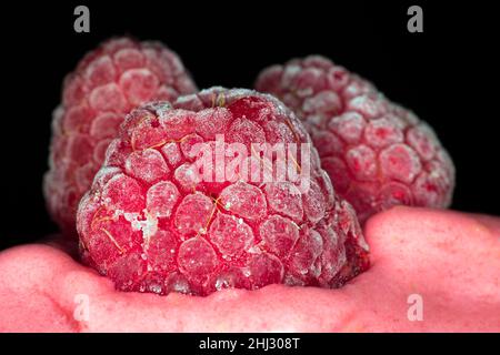 Primo piano di tre lamponi congelati su un gelato al lampone, fotografia da studio con sfondo nero Foto Stock