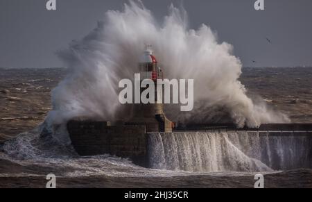 Le onde giganti battono il faro alto 15meter che custodisce il molo sud alla foce del Tyne a South Shields, Inghilterra Foto Stock