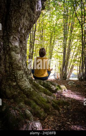 Meditazione yoga in legno di faggio. Una giovane donna seduta tra le radici di un vecchio faggeto è rilassante con una meditazione yoga. Concetto di natura. Foto Stock