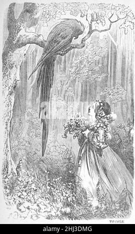 Ségur, Nouveaux contes de fées, p45. Foto Stock