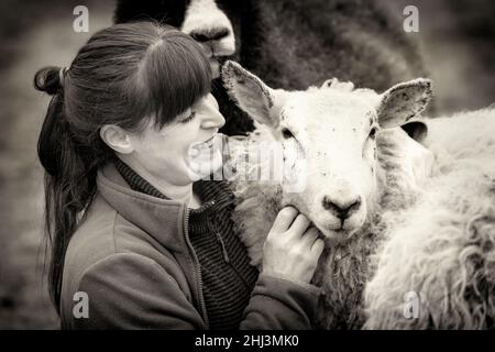 La pastorella Vegan. Immagini di una donna nel nord della Scozia che si prende cura di un piccolo gregge di pecore, molte delle quali hanno problemi di età e salute. Foto Stock