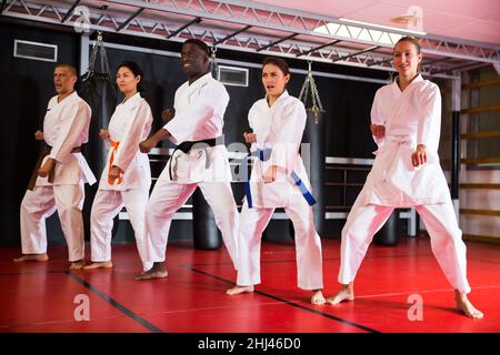 Uomini e donne polietnici in kimono esercizio kata Foto Stock