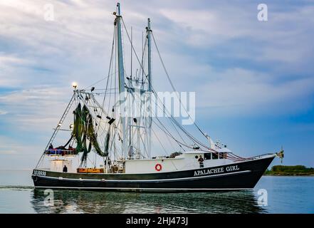 Apalachee Girl, una barca di gamberi, si dirige a casa dopo una lunga giornata di gamberetti, 27 ottobre 2013, a Bayou la Batre, Alabama. Foto Stock