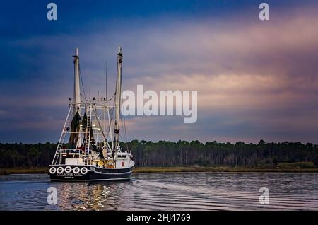 Apalachee Girl, una barca di gamberi, si dirige a casa dopo una lunga giornata di gamberetti, 27 ottobre 2013, a Bayou la Batre, Alabama. Foto Stock