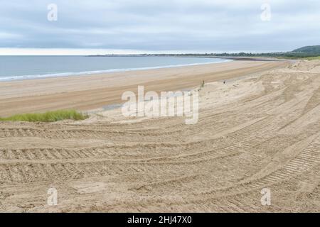 Dune di sabbia costiere recentemente rasate dalla vegetazione dal progetto Sands of Life per aumentare la fauna selvatica e la diversità delle piante, Merthyr Mawr Warren NNR, G Foto Stock
