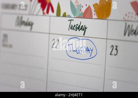 'Twosday' - Febbraio 22nd 2022 a palindrome date 22/02/2022 Foto Stock